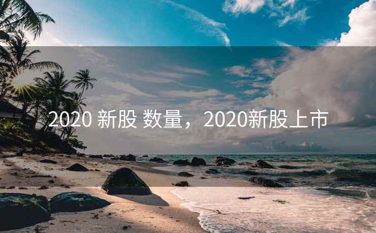 2020 新股 数量，2020新股上市