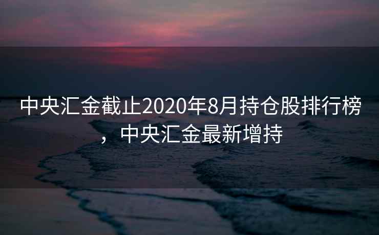 中央汇金截止2020年8月持仓股排行榜，中央汇金最新增持  第1张