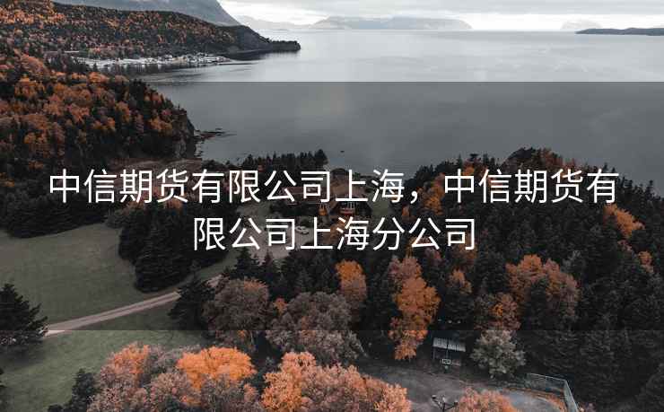 中信期货有限公司上海，中信期货有限公司上海分公司