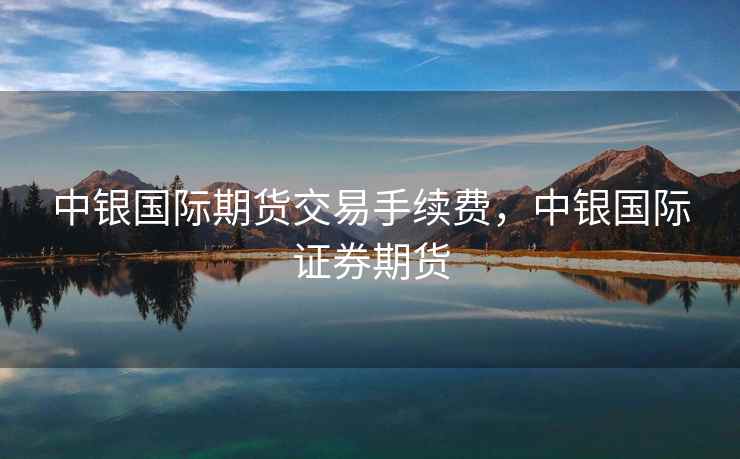 中银国际期货交易手续费，中银国际证券期货  第1张