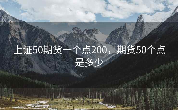 上证50期货一个点200，期货50个点是多少