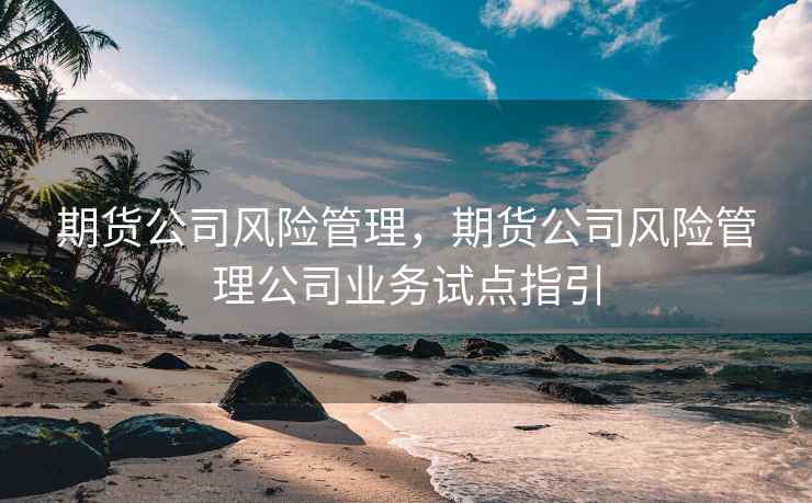 期货公司风险管理，期货公司风险管理公司业务试点指引  第2张