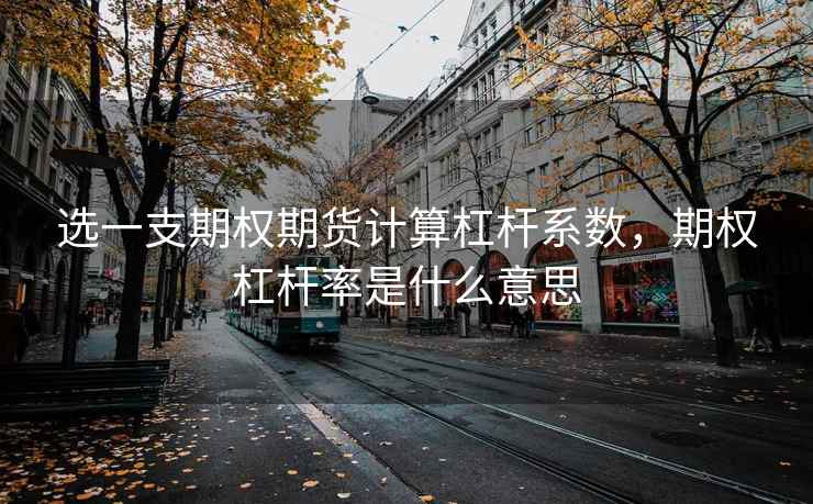 选一支期权期货计算杠杆系数，期权杠杆率是什么意思  第1张