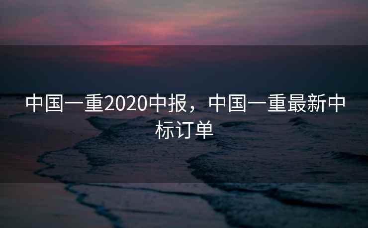 中国一重2020中报，中国一重最新中标订单