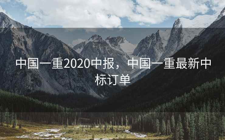 中国一重2020中报，中国一重最新中标订单