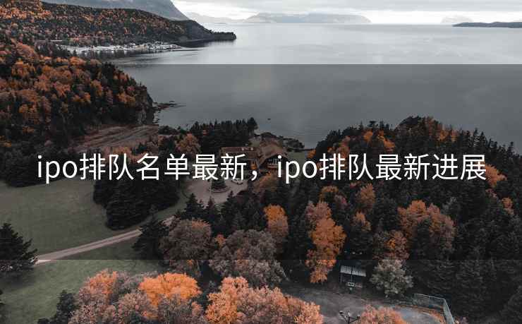 ipo排队名单最新，ipo排队最新进展