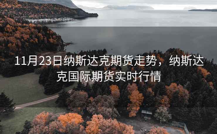 11月23日纳斯达克期货走势，纳斯达克国际期货实时行情