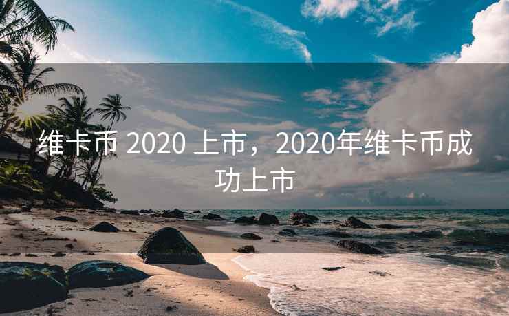 维卡币 2020 上市，2020年维卡币成功上市
