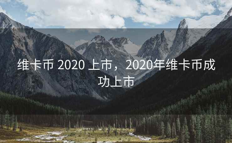 维卡币 2020 上市，2020年维卡币成功上市