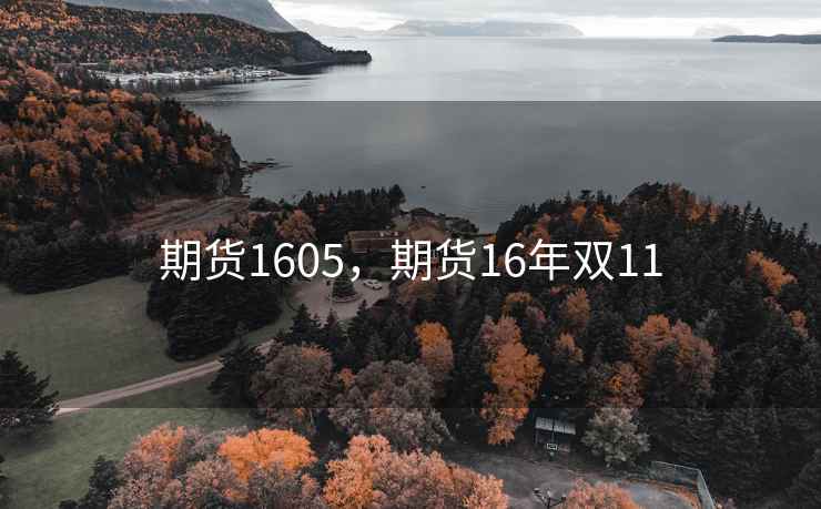 期货1605，期货16年双11