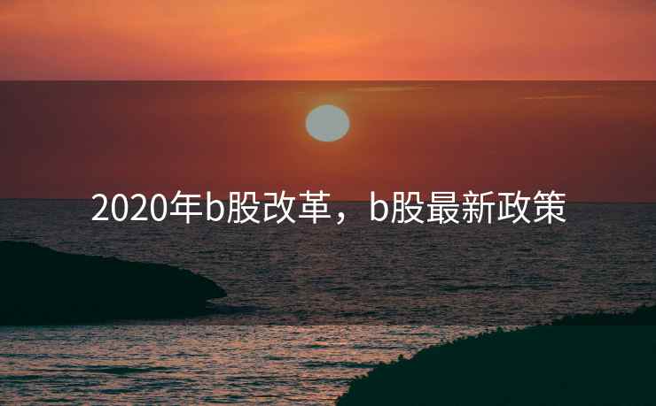 2020年b股改革，b股最新政策