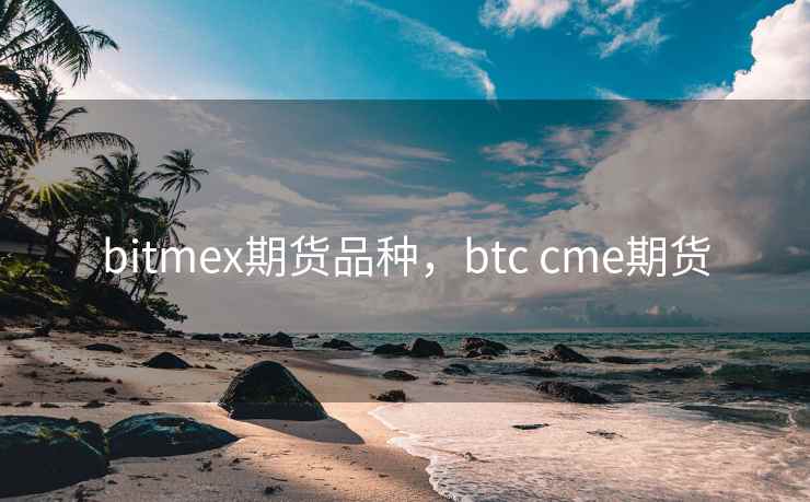 bitmex期货品种，btc cme期货  第2张