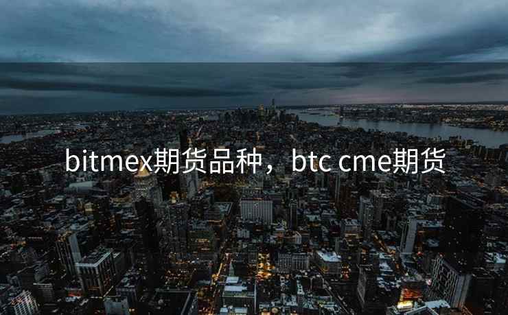bitmex期货品种，btc cme期货  第1张