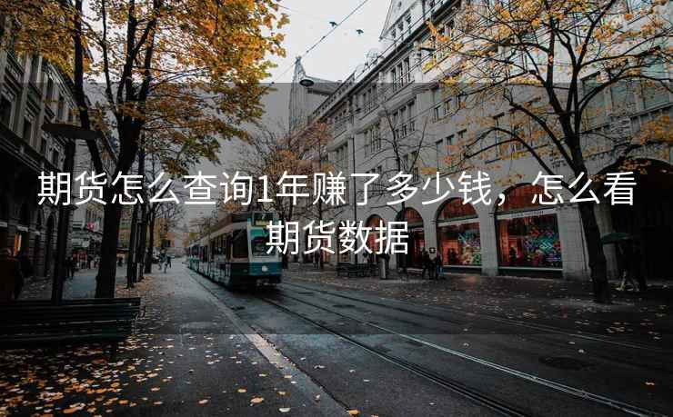 期货怎么查询1年赚了多少钱，怎么看期货数据
