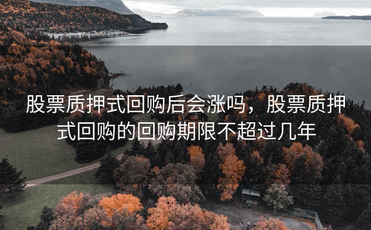 股票质押式回购后会涨吗，股票质押式回购的回购期限不超过几年