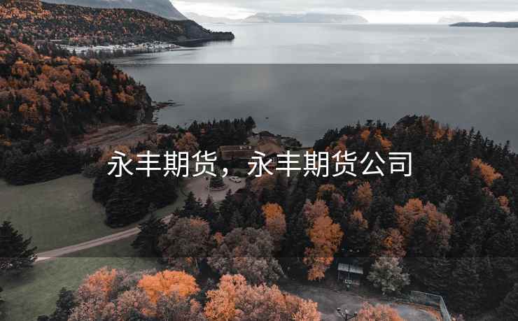 永丰期货，永丰期货公司